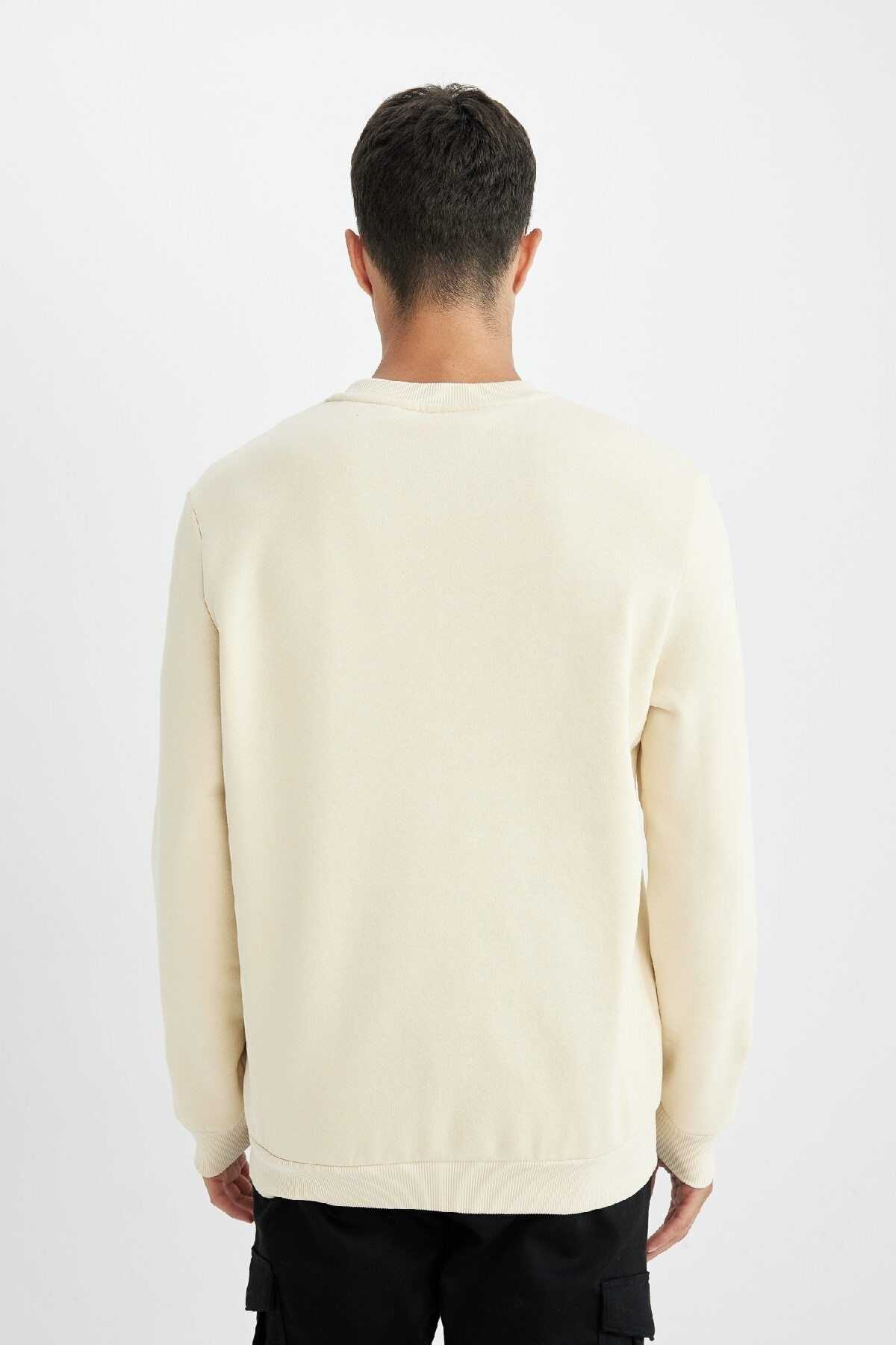 سویشرت ساده و معمولی سبز روشن T3777az24au